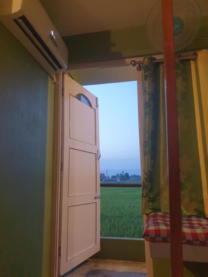 Hippies Colony - Travellers Home Sauraha Exterior foto